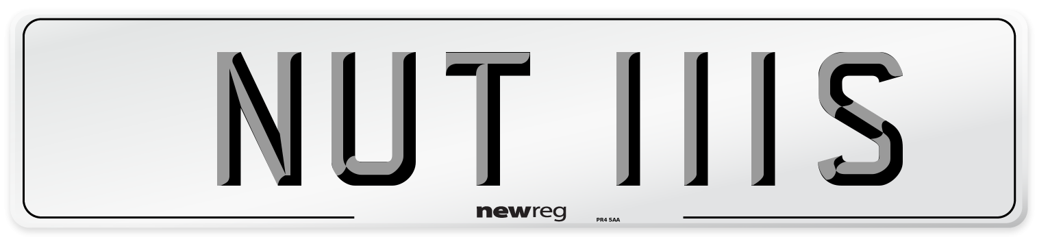 NUT 111S Number Plate from New Reg